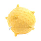 Puppy Sensory Ball Scented Dog Toy - Chicken