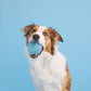 Crystal Clear Rubber Dog Chew Toy Ball Suitable All Pet Sizes