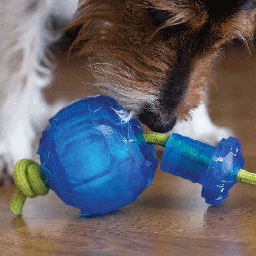 COOPETCN Hero Freezies Tug and Toss Ball