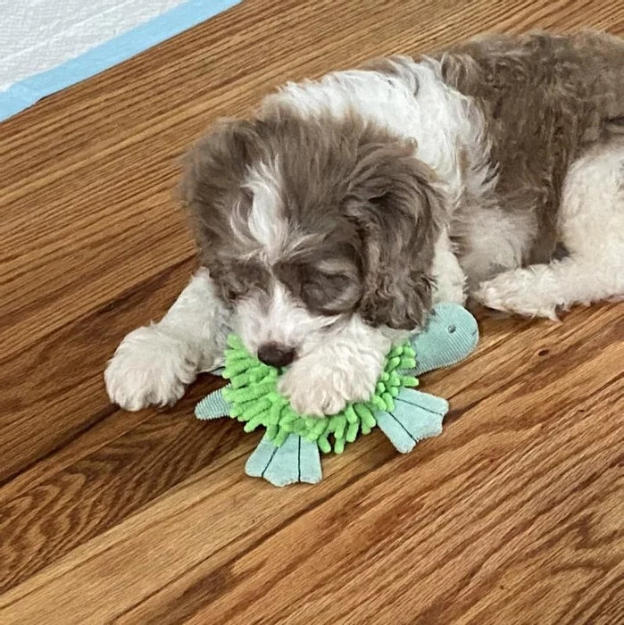 Playful Pets' Delight Slender Green Turtle Plush Toys - Perfect for Endless Fun and Bonding!