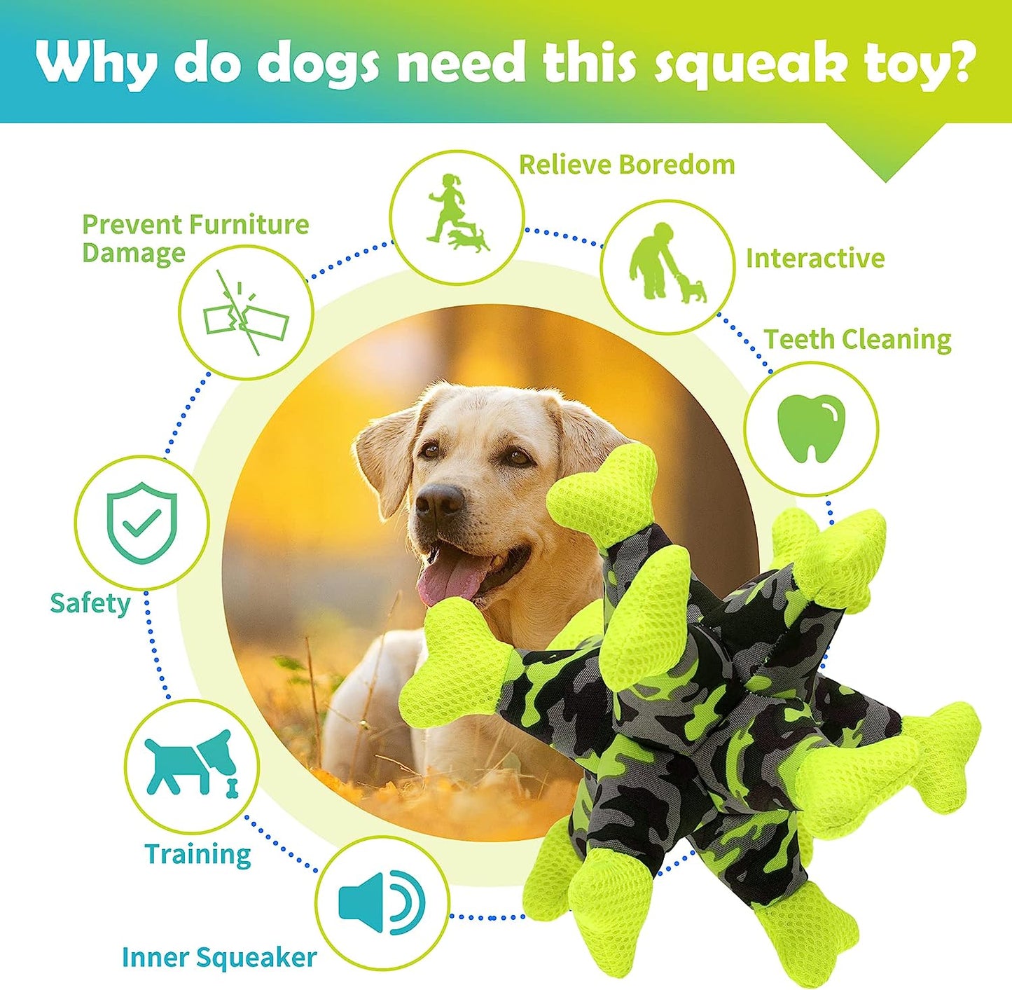 COOPET Dog Chew Squeaky Toys, Dog Teeth Cleaning Toy Squeakers, Durable Interactive Toy for Small Medium Large Dogs,Green