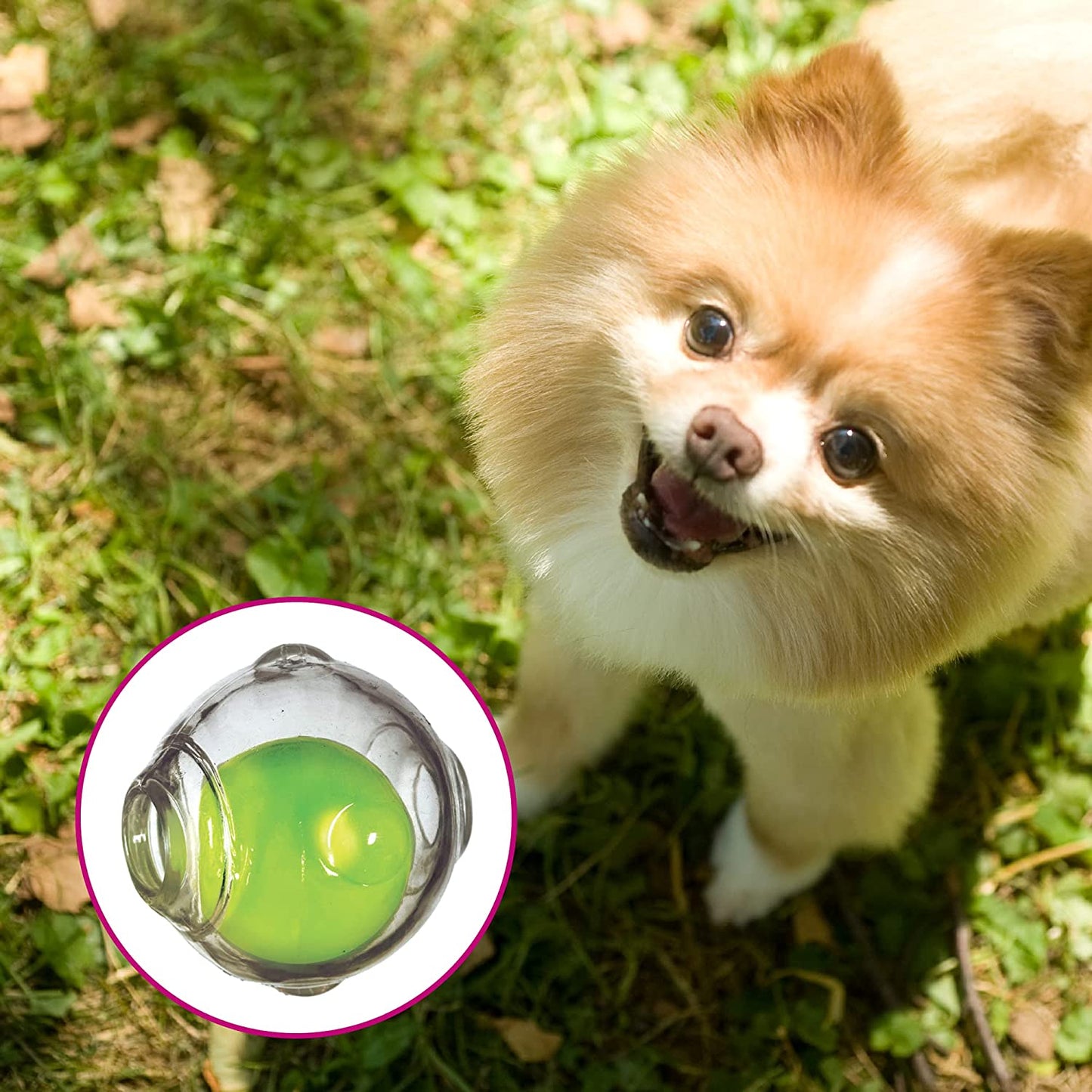 COOPET Amazing Squeaker Ball Toy for Dog,Puppy