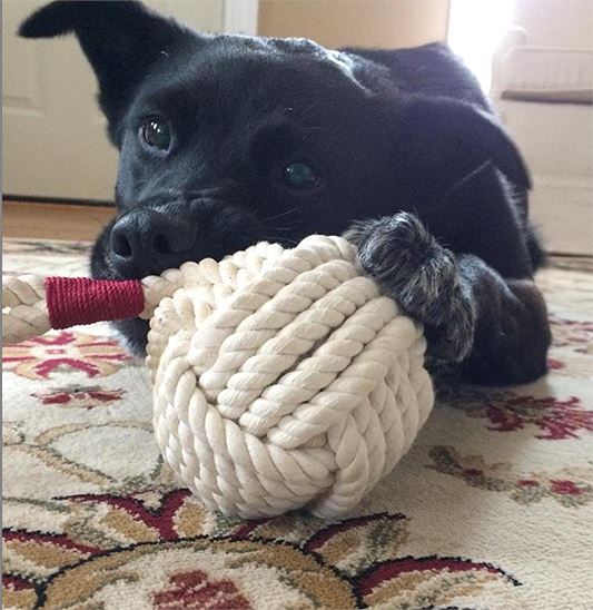 Big rope knot strong and wear -resistant dog chew toys