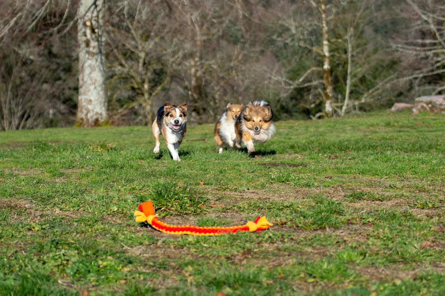 COOPET Rope Dog Toys, soft, very resistant and machine washable