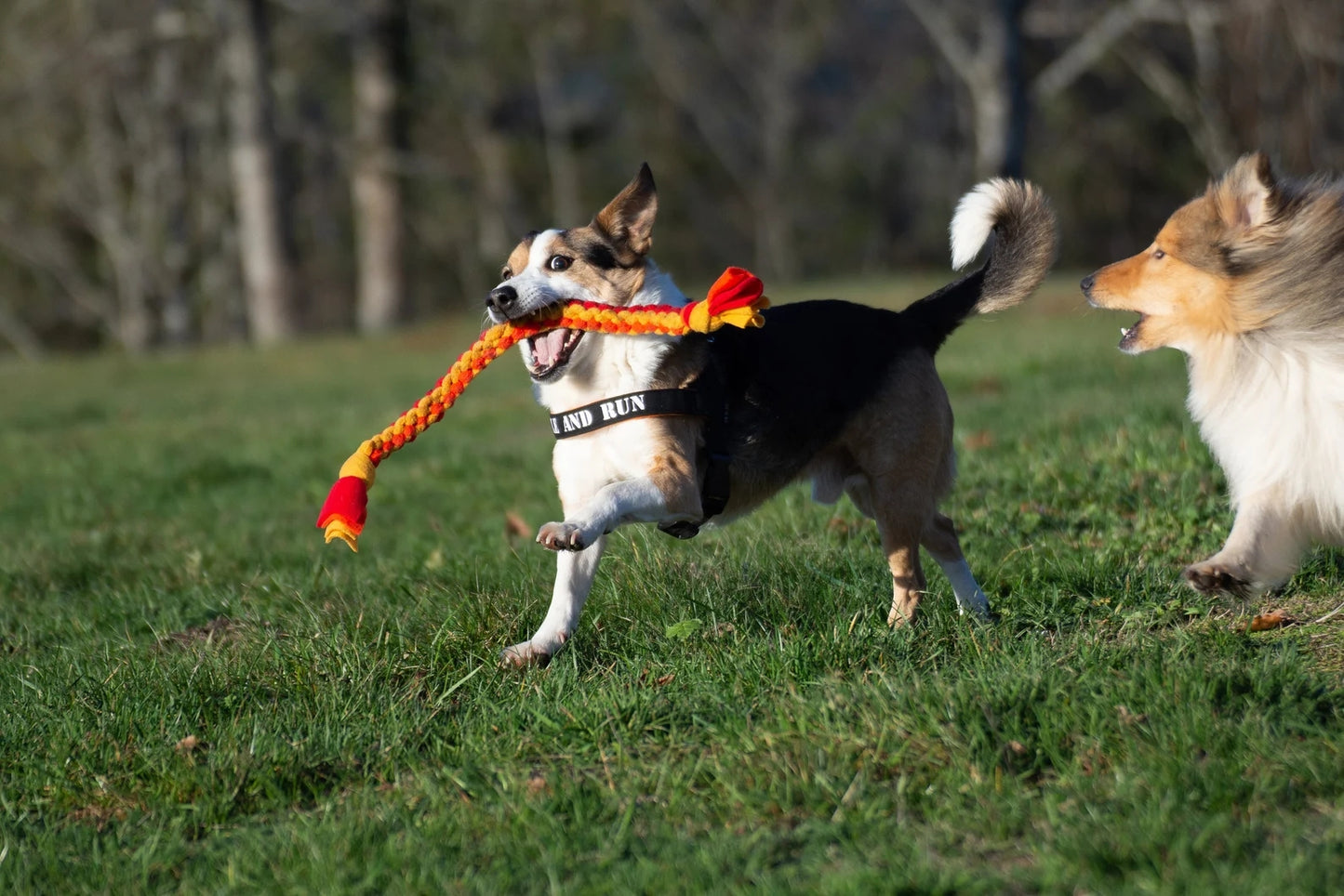 COOPET Rope Dog Toys, soft, very resistant and machine washable