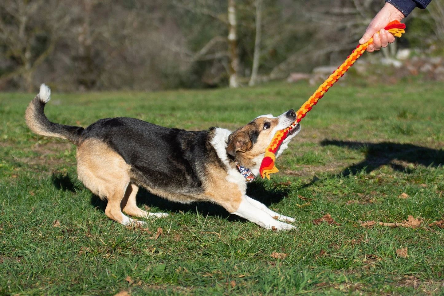 COOPET Rope Dog Toys, soft, very resistant and machine washable