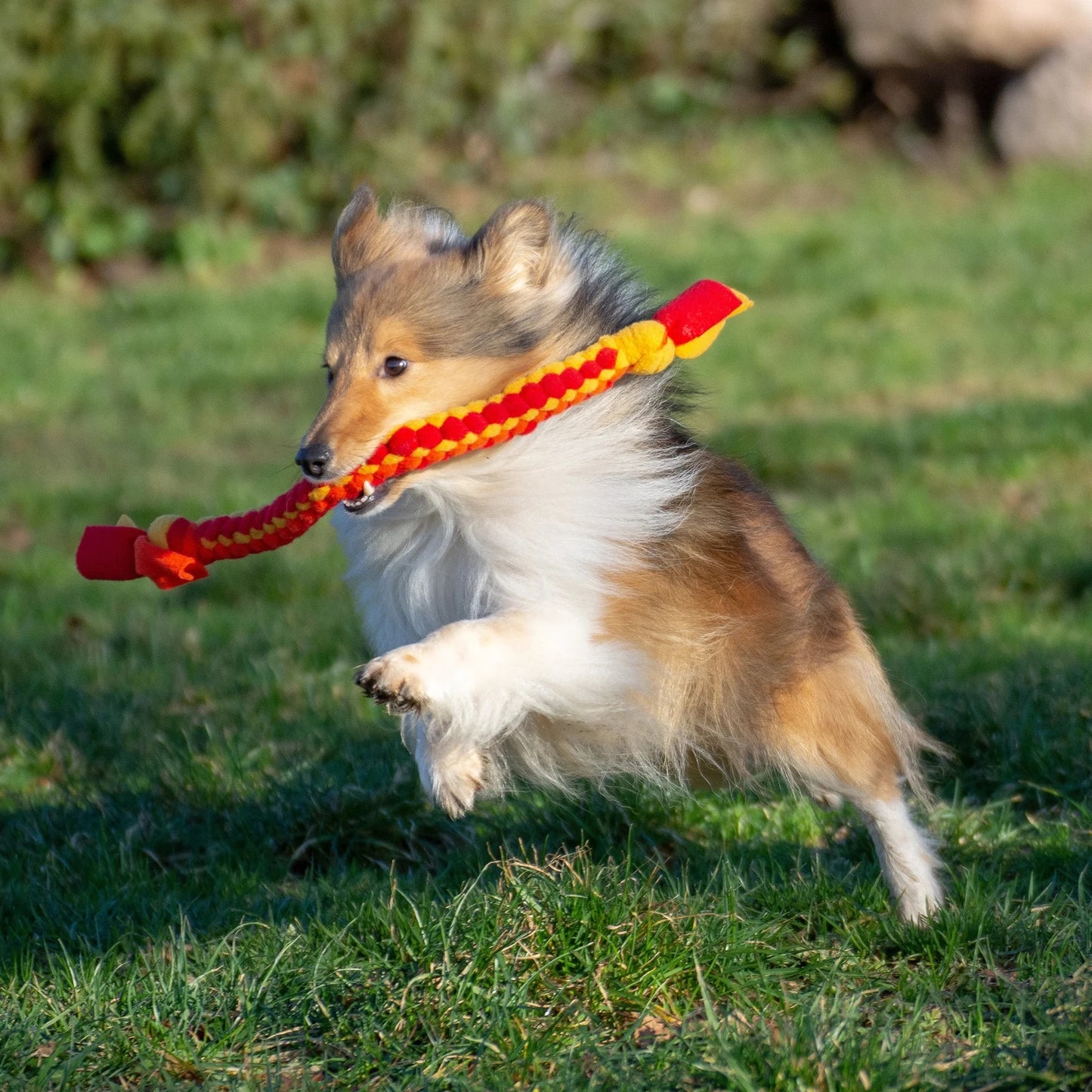 COOPET Rope Dog Toys, soft, very resistant and machine washable